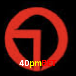 Platform Technology 40pmbet